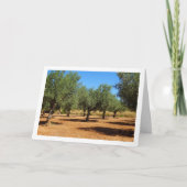 Olivenhaine Landschaft Karte (Vorderseite)