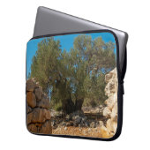 Olivenhaine Laptopschutzhülle (Vorderseite Links)