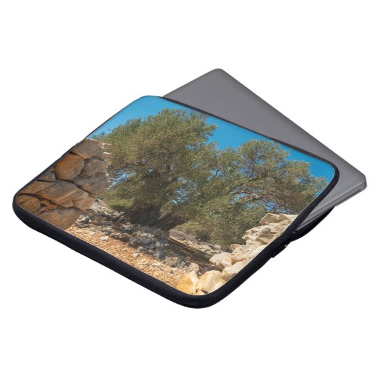 Olivenhaine Laptopschutzhülle (Vorne Oben)