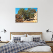 Olivenhaine Leinwanddruck (Insitu (Schlafzimmer))
