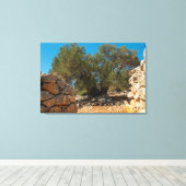 Olivenhaine Leinwanddruck (Insitu (Holzboden))