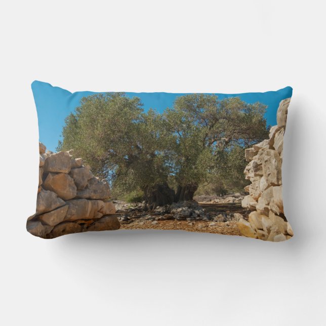 Olivenhaine Lendenkissen (Vorderseite)