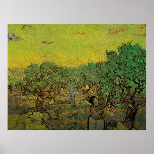 Olivenhaine mit Pickfiguren, Vincent van Gogh Poster (Vorne)