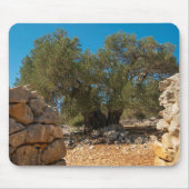 Olivenhaine Mousepad (Vorne)