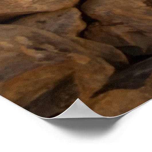 Olivenhaine Poster (Ecke)