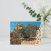 Olivenhaine Postkarte (Stehend Vorderseite)