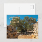 Olivenhaine Postkarte (Vorne/Hinten)