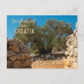 Olivenhaine Postkarte (Vorderseite)