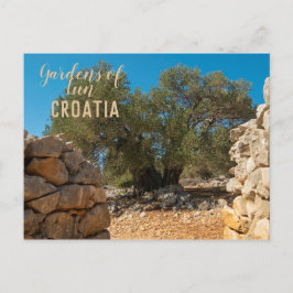 Olivenhaine Postkarte