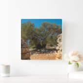 Olivenhaine Quadratische Wanduhr (Zuhause)