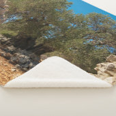 Olivenhaine Sherpadecke (3/4)