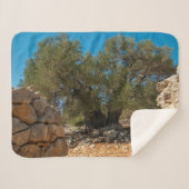 Olivenhaine Sherpadecke (Vorderseite (Horizontal))