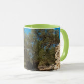 Olivenhaine Tasse (VorderseiteRechts)