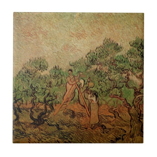 Olivenpflücker von Vincent van Gogh Fliese (Vorderseite)