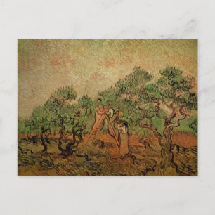 Olivenpflücker von Vincent van Gogh Postkarte