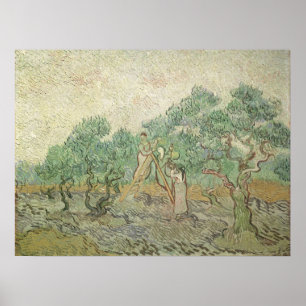 Olivenpflücker von Vincent van Gogh, Vintage Art Poster