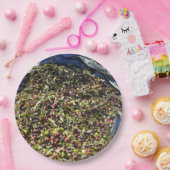 Olivensammlung Pappteller (Party)