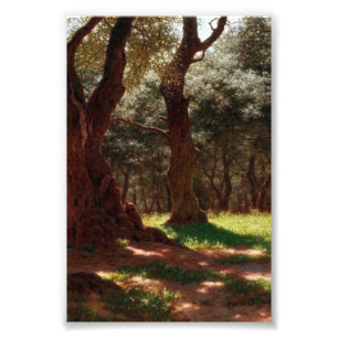 Olivenwald in Cap Saint Martin Fotodruck