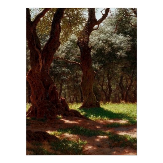 Olivenwald in Cap Saint Martin Poster (Vorderseite)