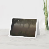 Olivenweg am Morgen Karte (Vorderseite)