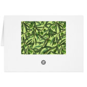 Olivenzweige auf Honigtau (Rückseite Horizontal)