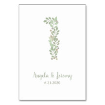 Olivenzweige Nummer 1