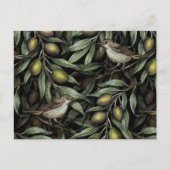 Olivenzweige und Warblers Postkarte (Vorderseite)