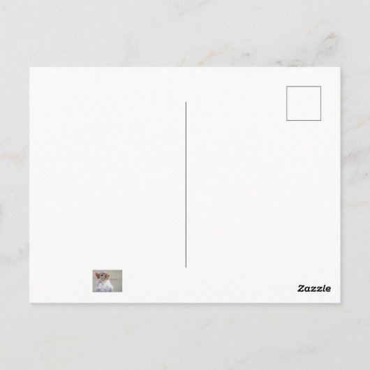 Oliver Drehung Postkarte (Rückseite)