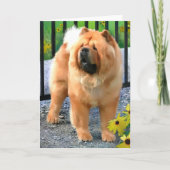 OLIVER heARTdog Chow-Chow Karten (Vorderseite)