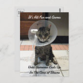 Oliver The Cats Cone of Shame Postkarte (Vorne/Hinten)