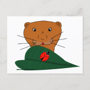 Oliver The Otter studiert a Ladybug Postkarte