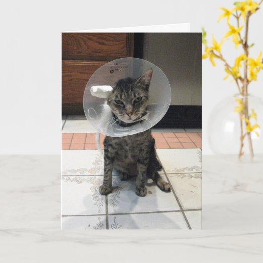 Oliver's Get Well Card Karte (Gelbe Blume)