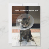 Oliver's Not Feline Well - Cat Get Well Flat Card Karte (Vorderseite)