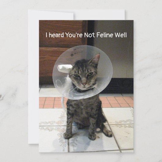 Oliver's Not Feline Well - Cat Get Well Flat Card Karte (Vorderseite)