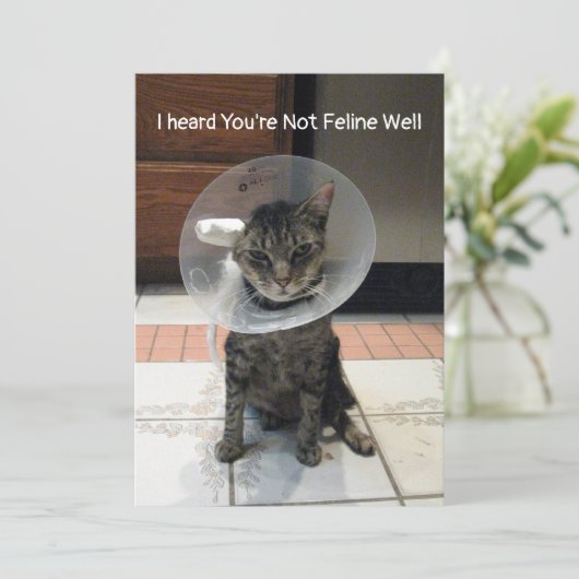 Oliver's Not Feline Well - Cat Get Well Flat Card Karte (Stehend Vorderseite)