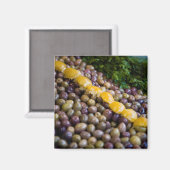 Olives Displayed At Market Magnet (Vorderseite/Rückseite)