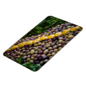 Olives Displayed At Market Magnet (Linke Seite)
