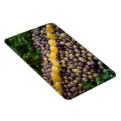 Olives Displayed At Market Magnet (Rechte Seite)