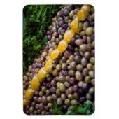 Olives Displayed At Market Magnet (Vertikal)