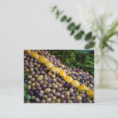 Olives Displayed At Market Postkarte (Stehend Vorderseite)