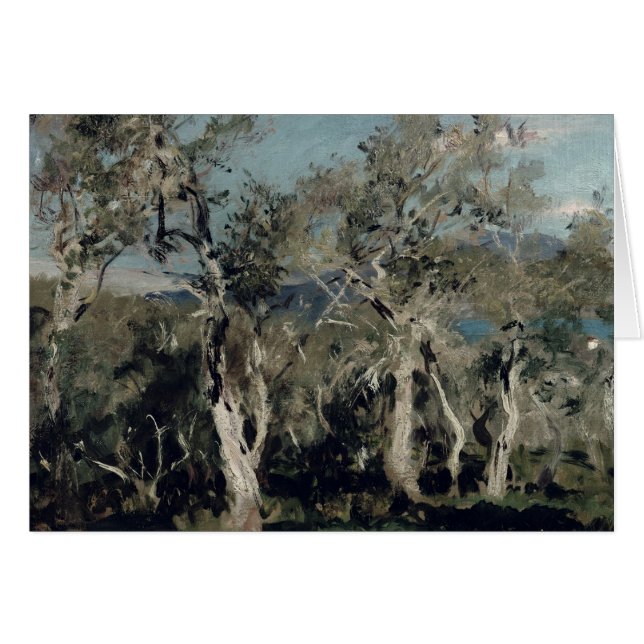 Olives, Korfu, 1912 (Vorderseite (Horizontal))