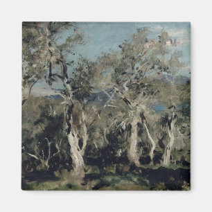 Olives, Korfu, 1912 Magnet