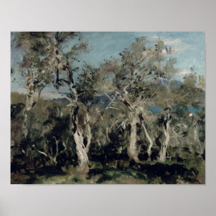 Olives, Korfu, 1912 Poster