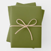 Olivgrün Solid Color Geschenkpapier Set (Beispiel)
