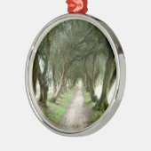 Olivgrüne Garten-Verzierung Silbernes Ornament (Links)