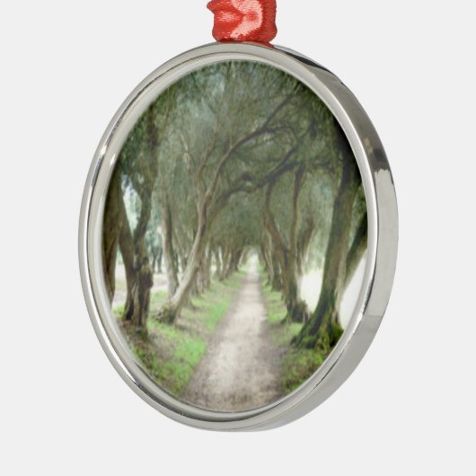 Olivgrüne Garten-Verzierung Silbernes Ornament (Links)