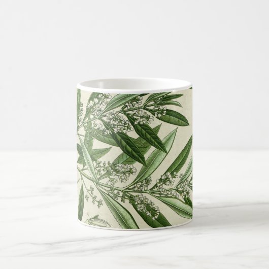 Olivgrüne Pflanzen-botanische Kaffeetasse (Mittel)