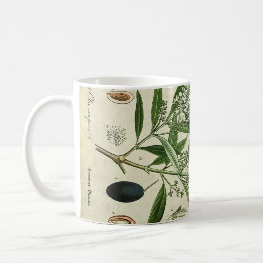 Olivgrüne Pflanzen-botanische Kaffeetasse (Links)