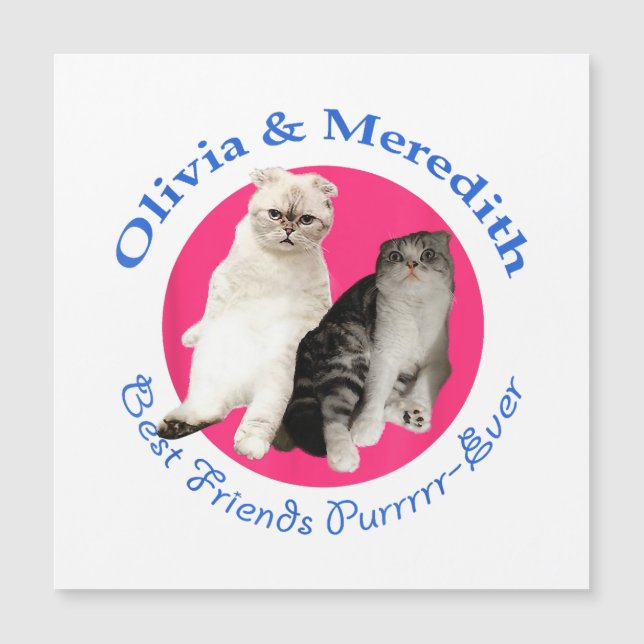 Olivia & Meredith - Die besten Freunde - Purrr-Eve Magnetkarte (Vorderseite)