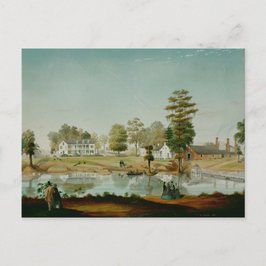 Olivier Plantation, 1861 Postkarte (Vorderseite)